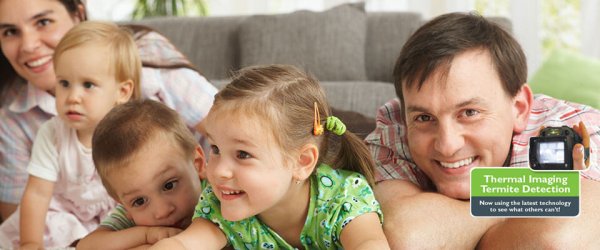 Budget Pest Control Protecting Perth Families Since 1979