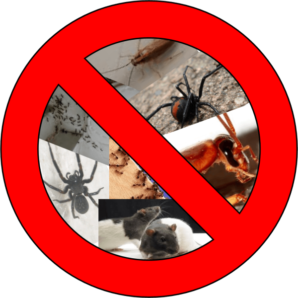 Pest Control Perth General Pest Treatments