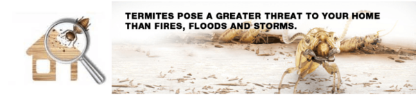 Budget Pest Control Perth Termite inspections